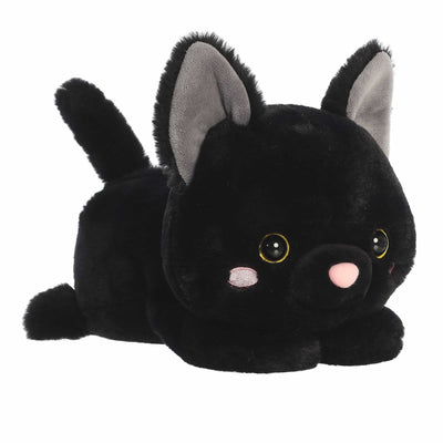 Aurora - Too Cute - Bella Black Cat
