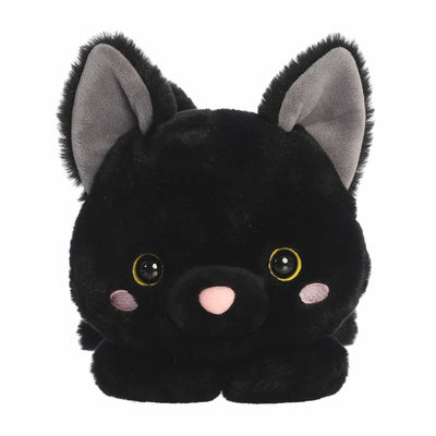 Aurora - Too Cute - Bella Black Cat