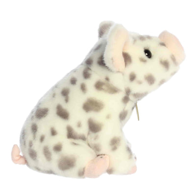 Aurora - Miyoni Tots - Seaed Spotted Pig