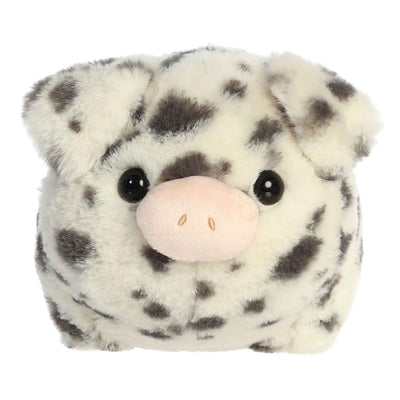 Aurora - Spudsters - Pierre Spotted Pig