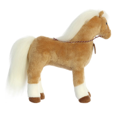 Aurora - Breyer - Morgan