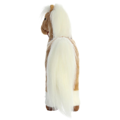 Aurora - Breyer - Morgan