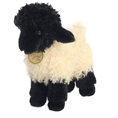 Aurora - Miyoni - Suffolk Lamb