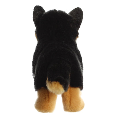 Aurora - Miyoni - German Shepherd