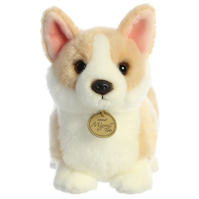 Aurora - Miyoni Tots - Pembroke Welsh Corgi