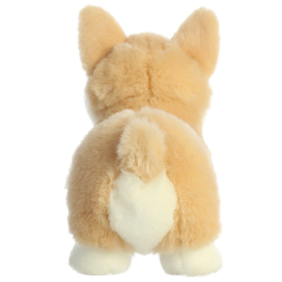 Aurora - Miyoni Tots - Pembroke Welsh Corgi