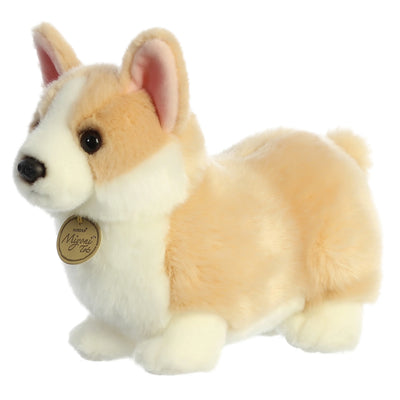 Aurora - Miyoni Tots - Pembroke Welsh Corgi