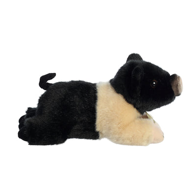 Aurora - Miyoni - Hampshire Pig