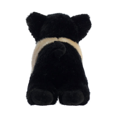 Aurora - Miyoni - Hampshire Pig