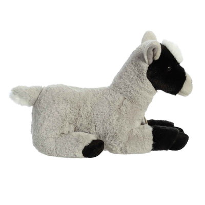 Aurora - Miyoni - Pygmy Goat