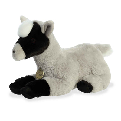 Aurora - Miyoni - Pygmy Goat