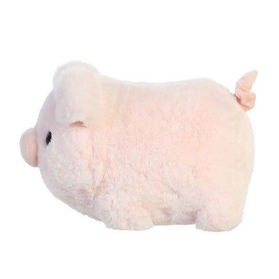 Aurora - Spudsters - Cutie Pig
