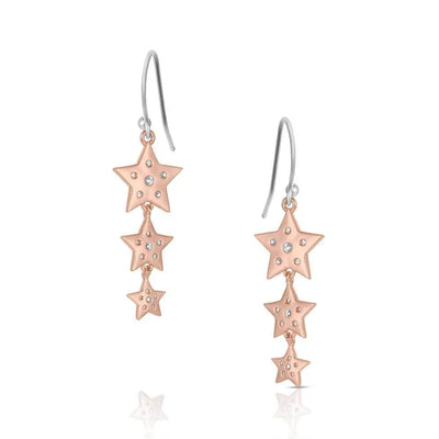 Montana Silversmiths Trio of Wishes Earrings