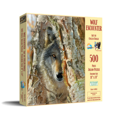 Wolf Encounter Puzzle