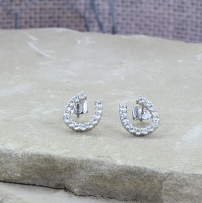 Montana Silversmiths Tiny Rider Post Earrings