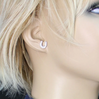 Montana Silversmiths Tiny Rider Post Earrings