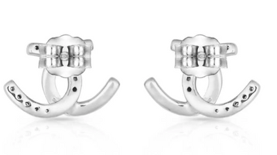 Montana Silversmith Horseshoe Happiness Post Earrings