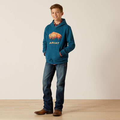 Ariat Boy's Bison Plains Hoodie