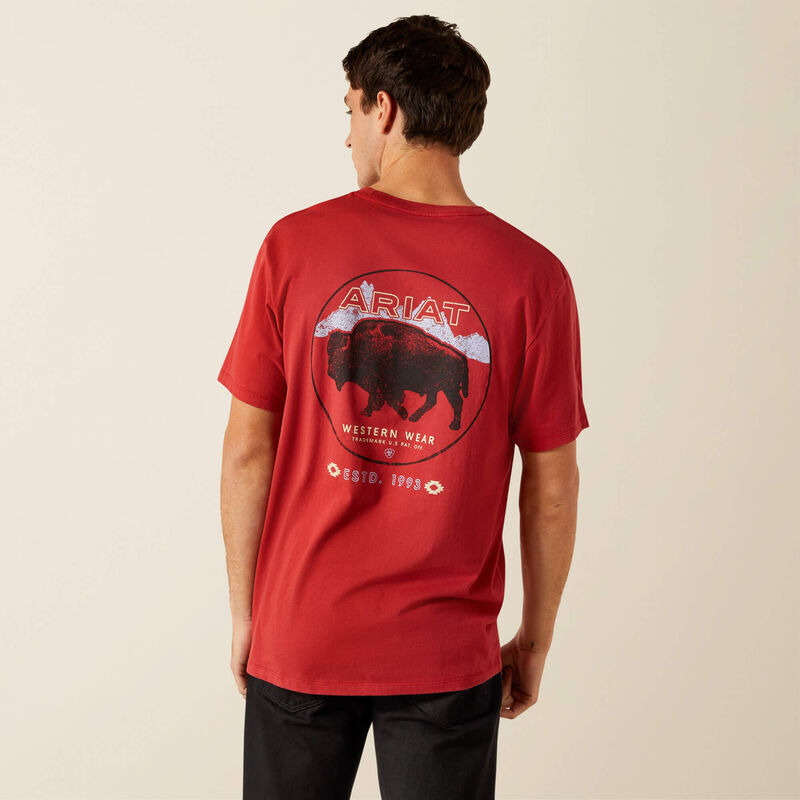 Ariat Men's Patriot Buffalo Coin T-Shirt
