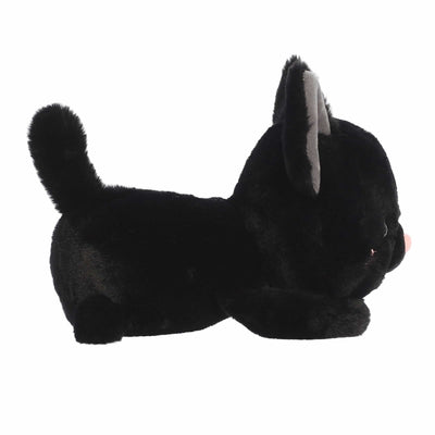 Aurora - Too Cute - Bella Black Cat
