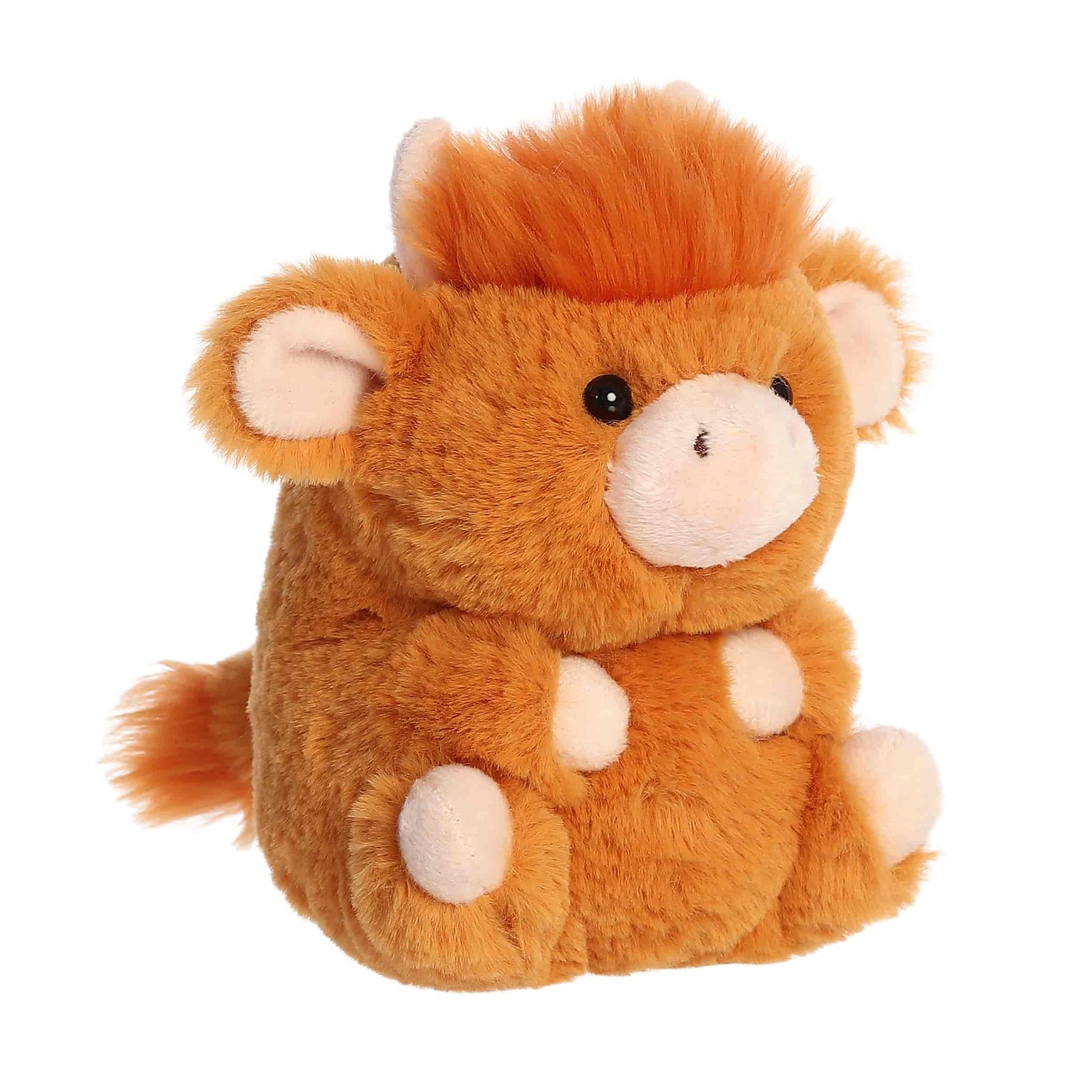 Aurora - Rolly Pet - Harvey Highland Cow