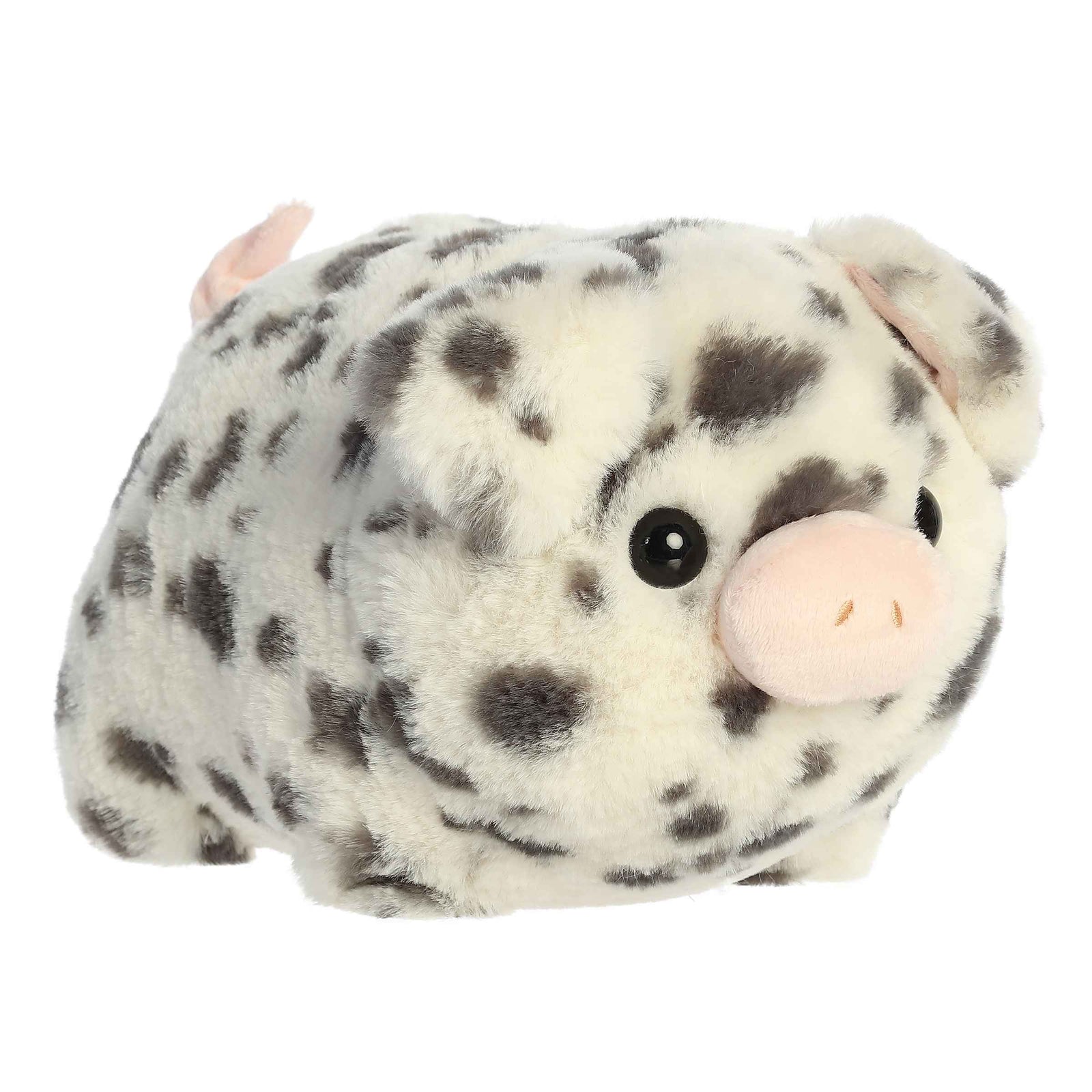 Aurora - Spudsters - Pierre Spotted Pig