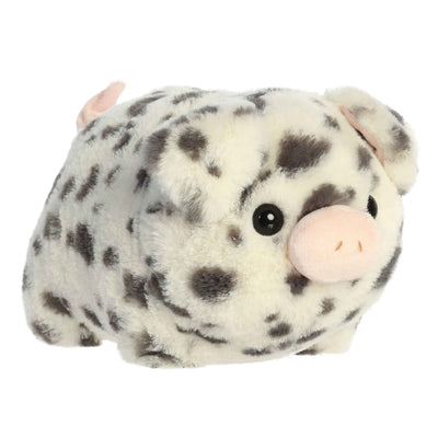 Aurora - Spudsters - Pierre Spotted Pig