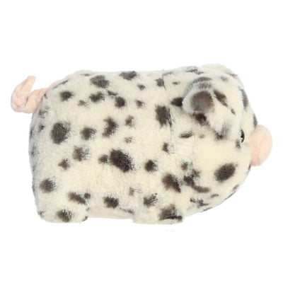 Aurora - Spudsters - Pierre Spotted Pig