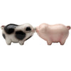 Pacific Trading Passion Piggies Salt & Pepper Set