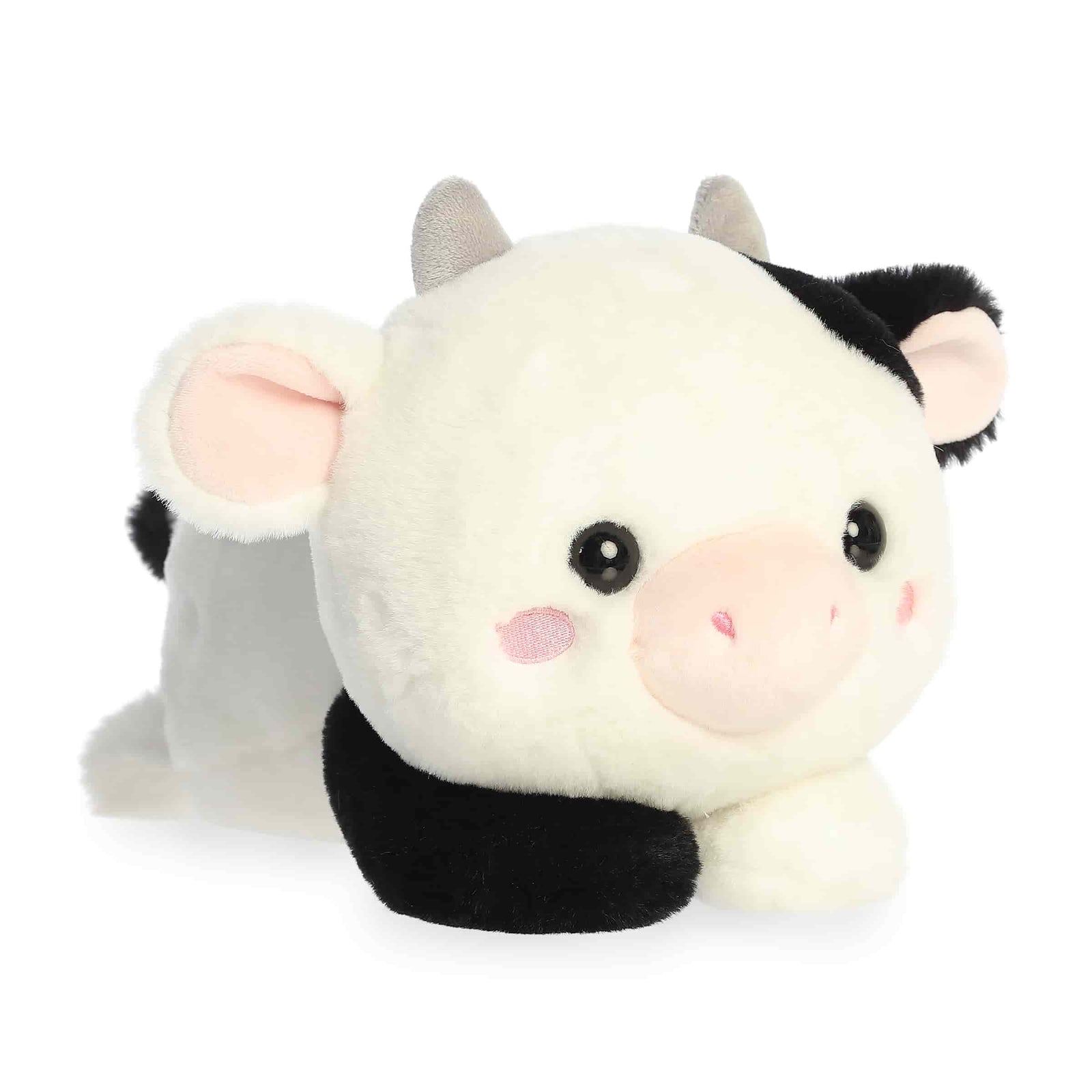 Aurora - Too Cute - Cayce Cow