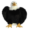 Aurora Regal Eagle Stuffed Animal