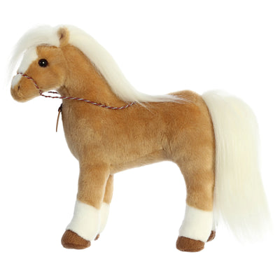 Aurora - Breyer - Morgan