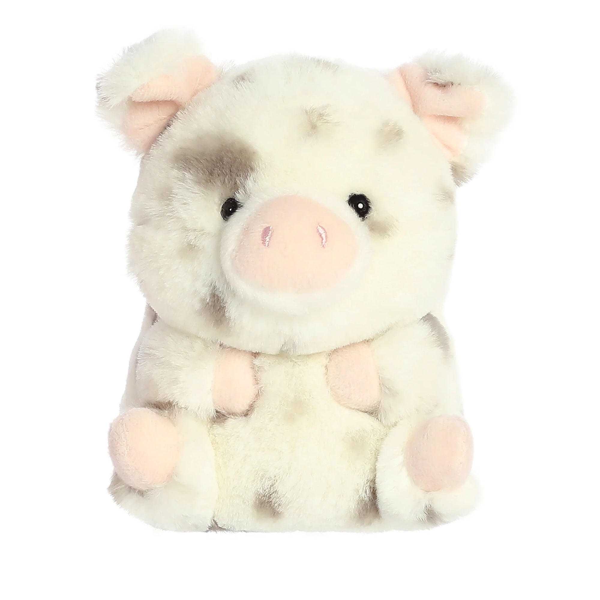 Aurora - Rolly Pet - Periwinkle Pig