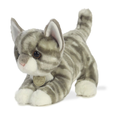 Aurora Miyoni Grey Tabby Kitten