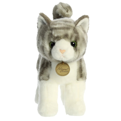 Aurora - Miyoni - Grey Tabby Cat