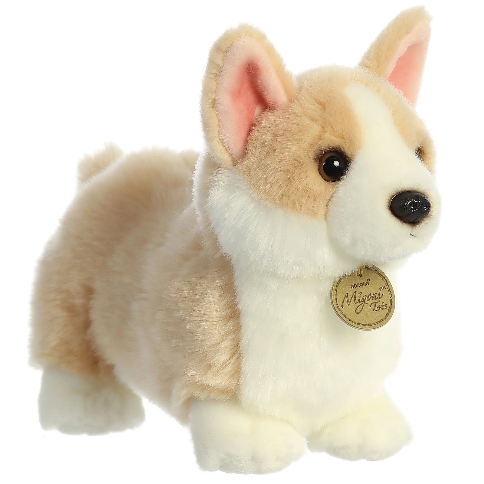 Aurora - Miyoni Tots - Pembroke Welsh Corgi