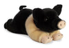 Aurora - Miyoni - Hampshire Pig