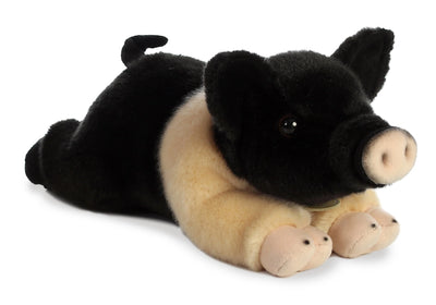 Aurora - Miyoni - Hampshire Pig