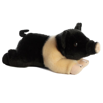 Aurora - Miyoni - Hampshire Pig