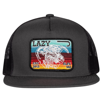 Lazy J Ranch Serape Elevation Hat