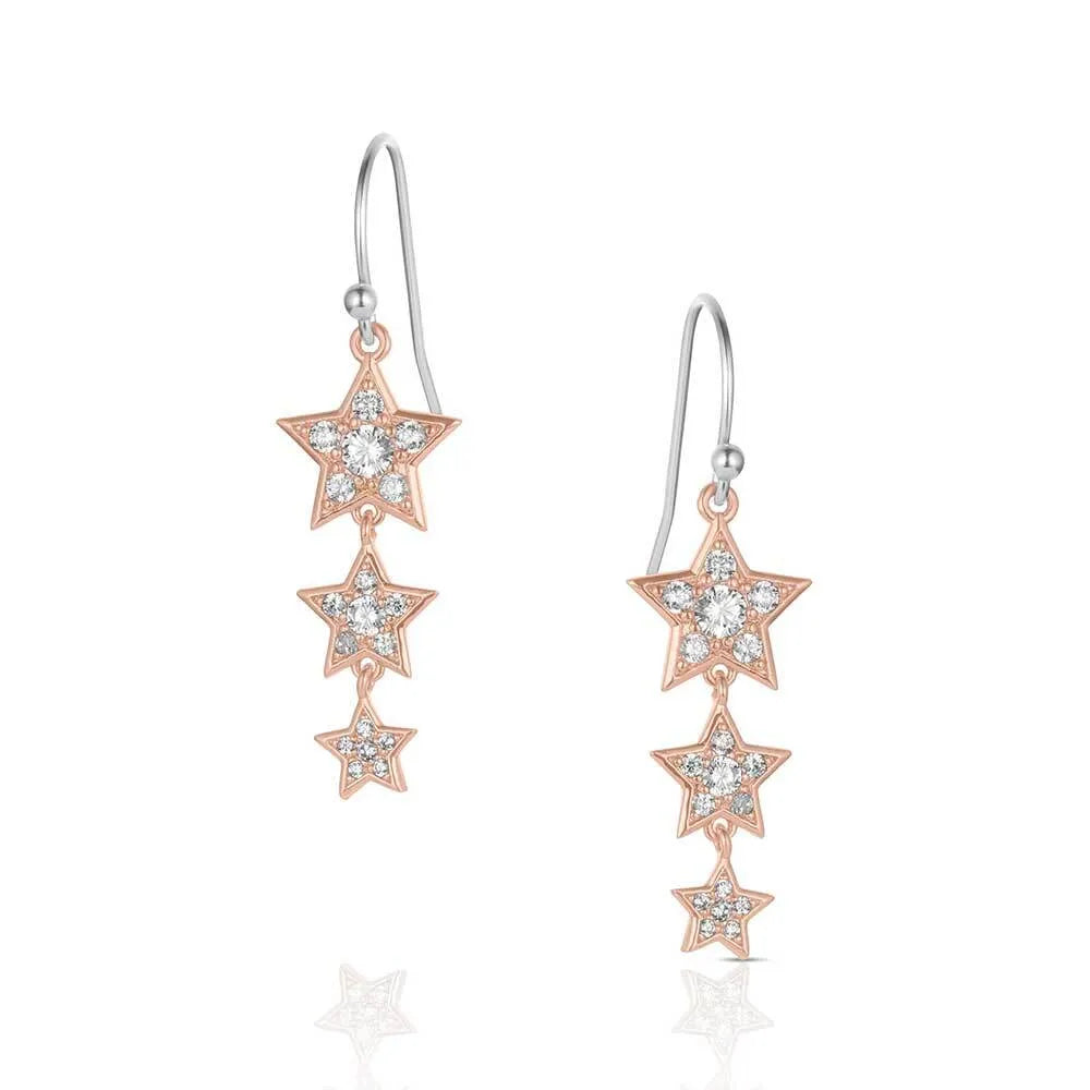 Montana Silversmiths Trio of Wishes Earrings