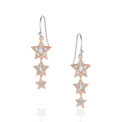 Montana Silversmiths Trio of Wishes Earrings