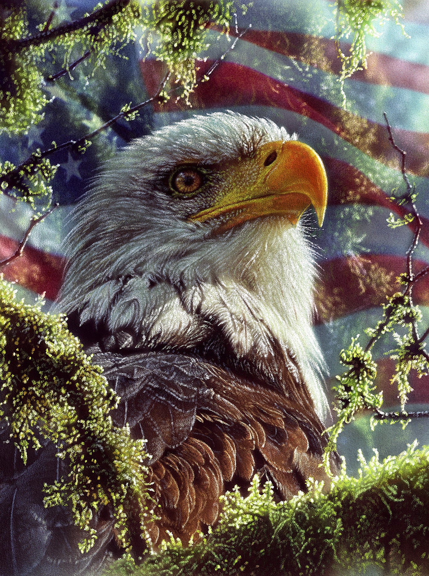 Eagle Colors Puzzle