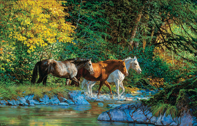 Bear Creek Crossing Puzzle