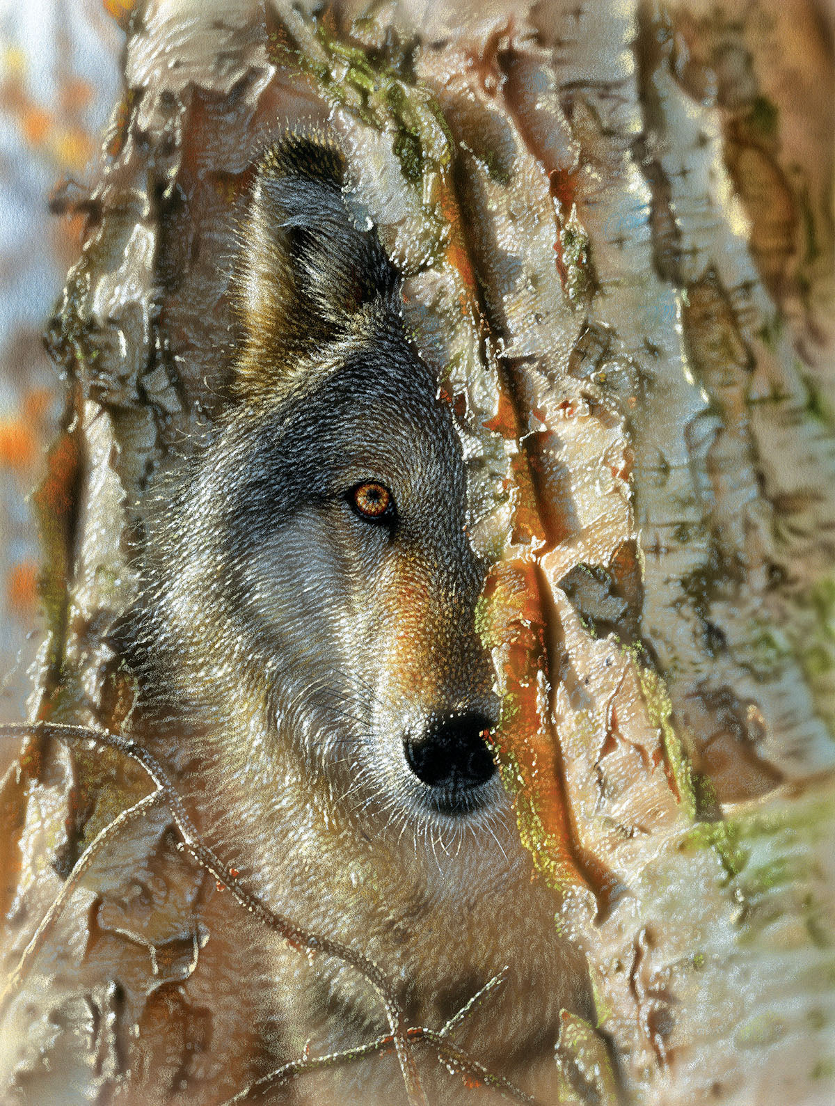 Wolf Encounter Puzzle