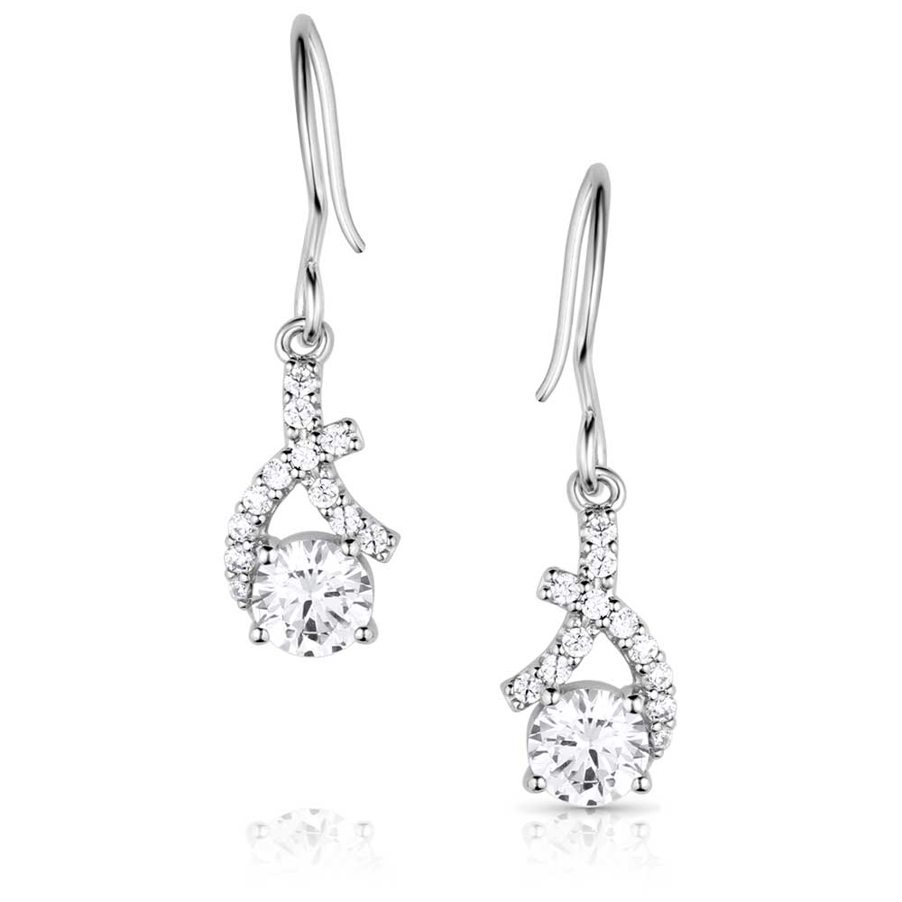 Montana Silversmith Hugs & Kisses Crystal Earrings