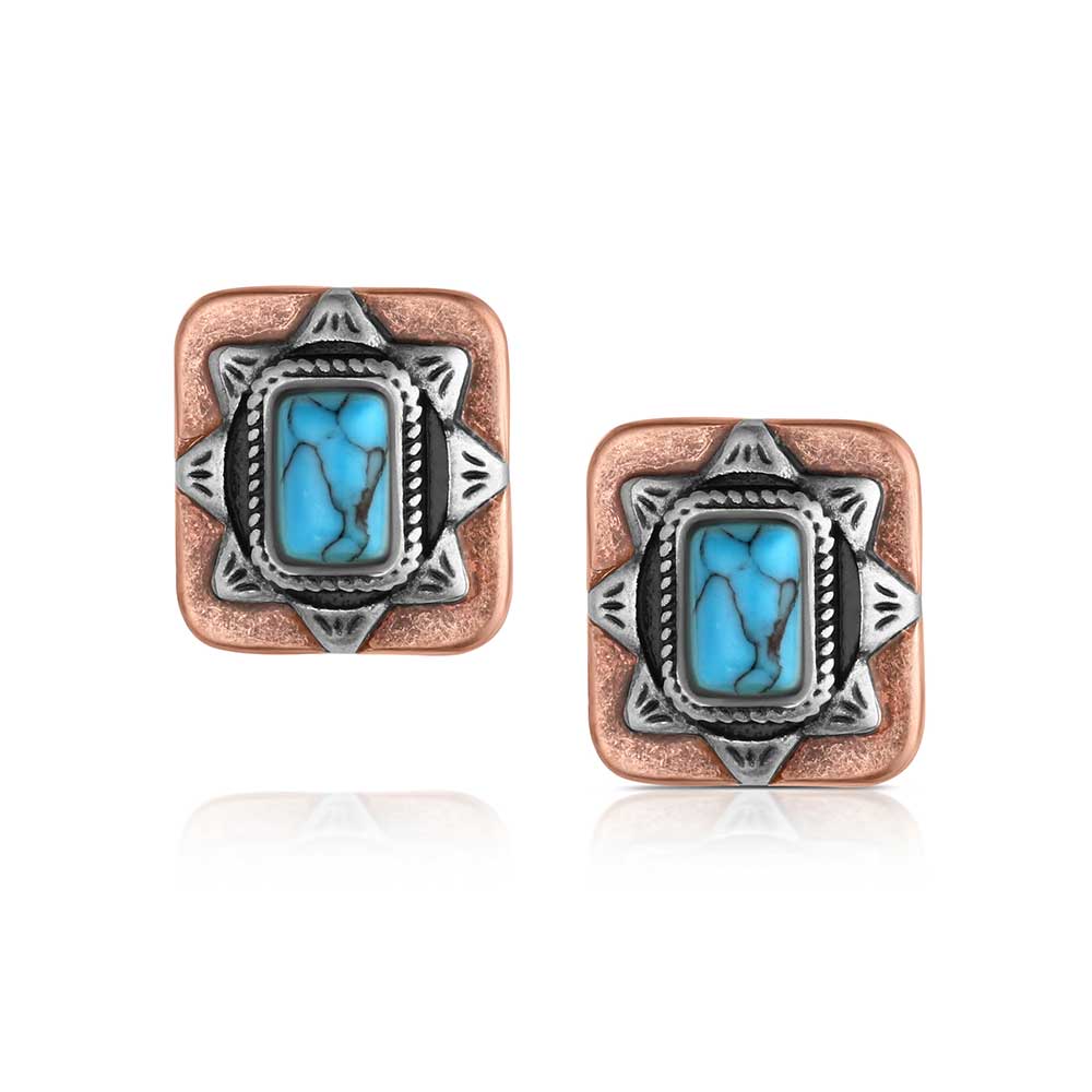 Montana Silversmiths Sienna Canyon Post Earrings