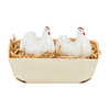 Mud Pie Farm Hen Salt & Pepper Basket