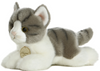 Aurora Grey Tabby Cat