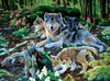 Forest Wolf Family - 500 Piece Puzzle